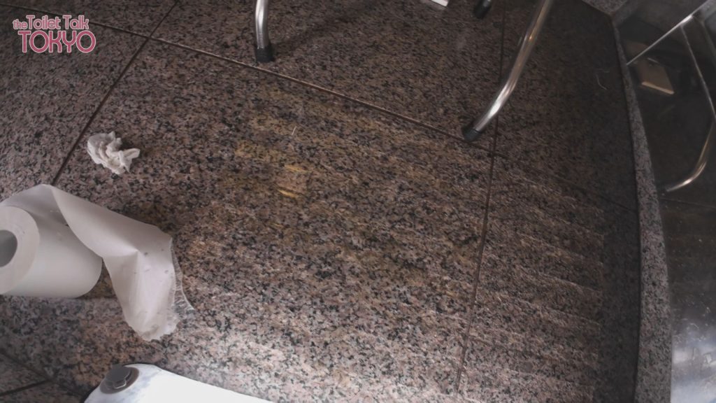 The Toilet Talk TOKYO 街中でインタビューした後に脱糞をする美女たち　おしとやかギャルのトロトロウンコ - 画像4